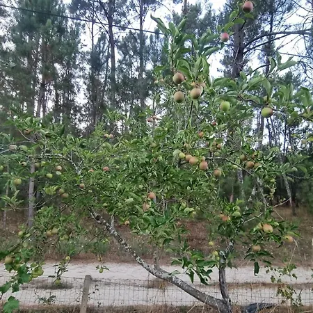 Hétvégi ház Eco Charm Discovery Quinta Da Oliveirinha Helenos